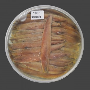 AnchoaCANT_50 00